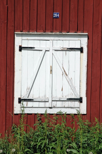 DSC_0108 1_out.jpg